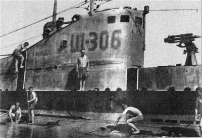 h306.jpg