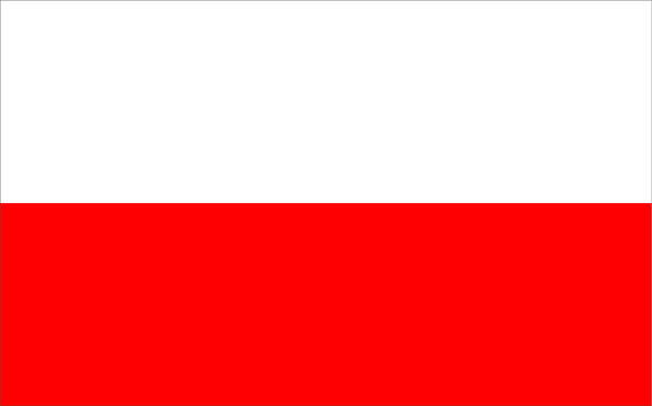 флаг.jpg