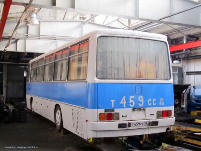 809643.jpg