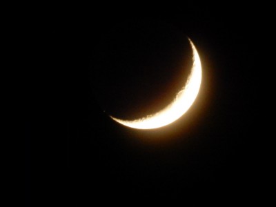 DSCN0855,,.jpg