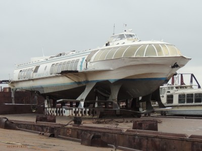 43777.jpg