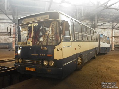 354715.jpg