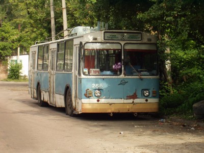 286.jpg